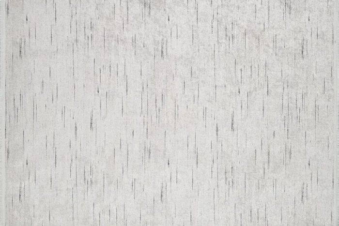 Minimalist Yağmur Yıkanabilir Halı - Görsel 1